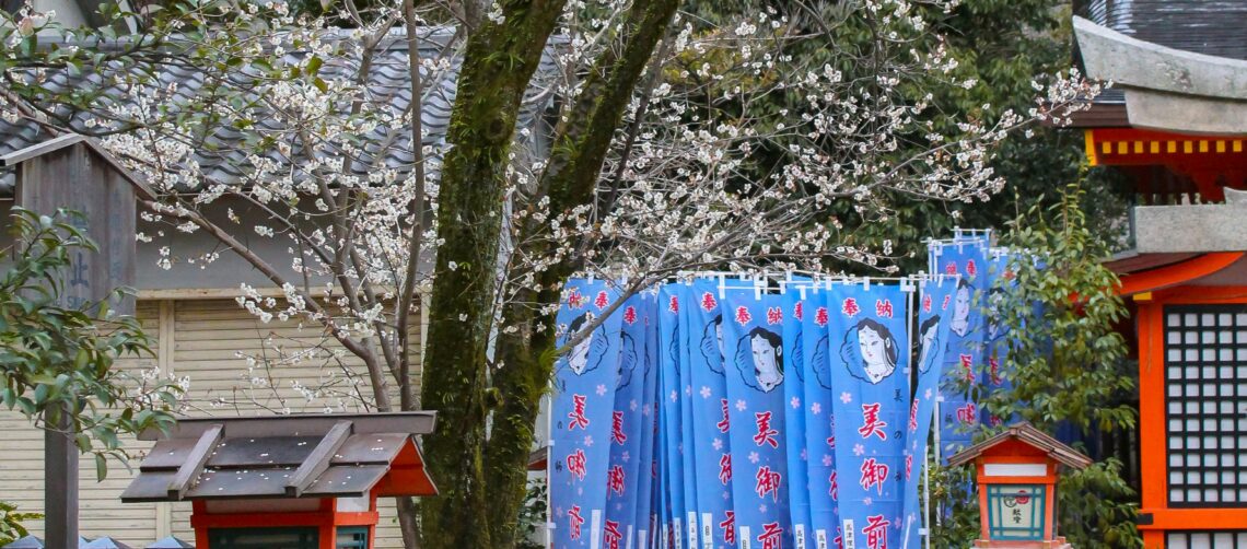 A photo of a Japanese girl standing in front of a flowering cherry tree, with red fences and accents in the background and blue banners.